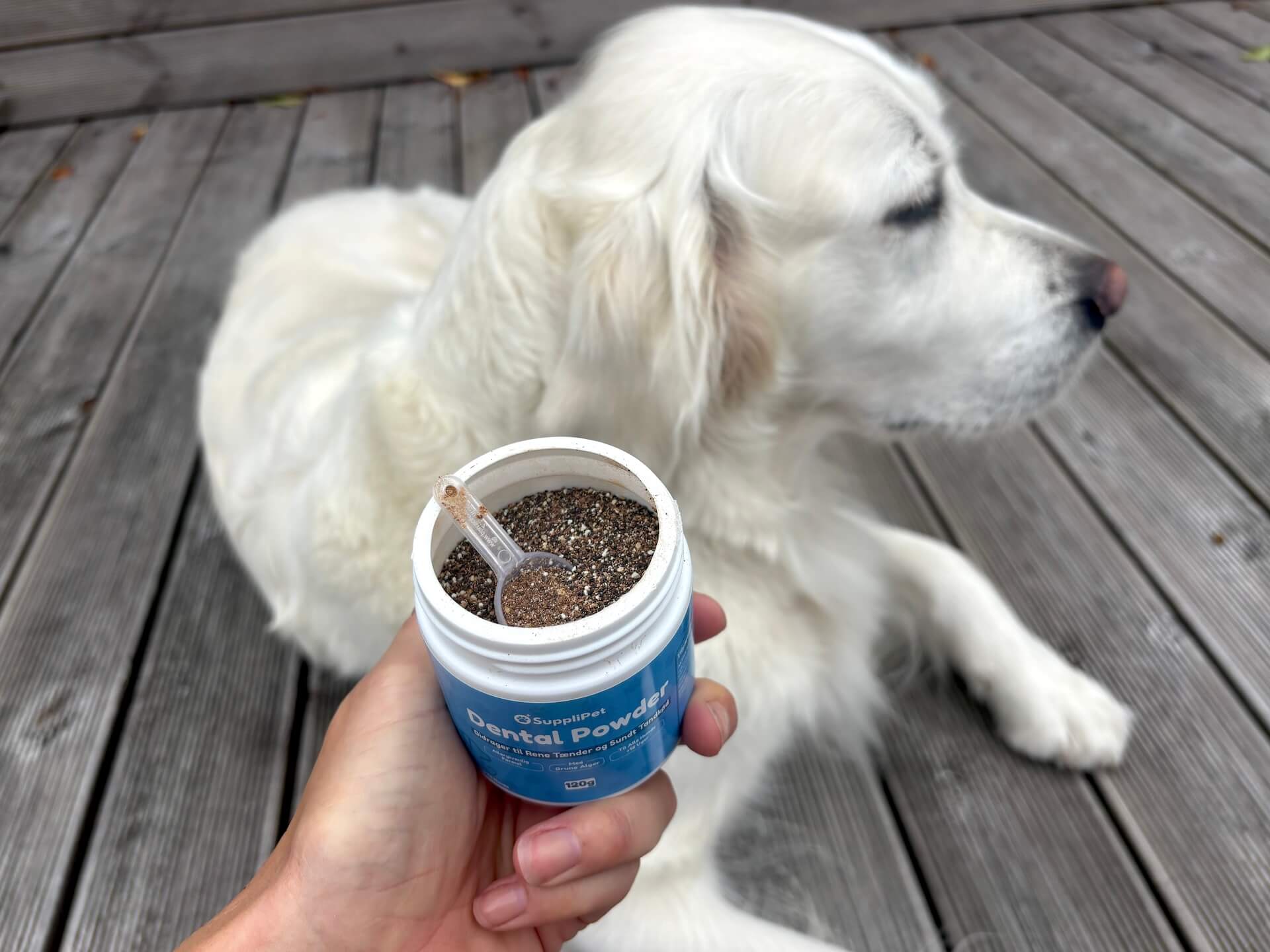 Åben SuppliPet Dental Powder foran hund