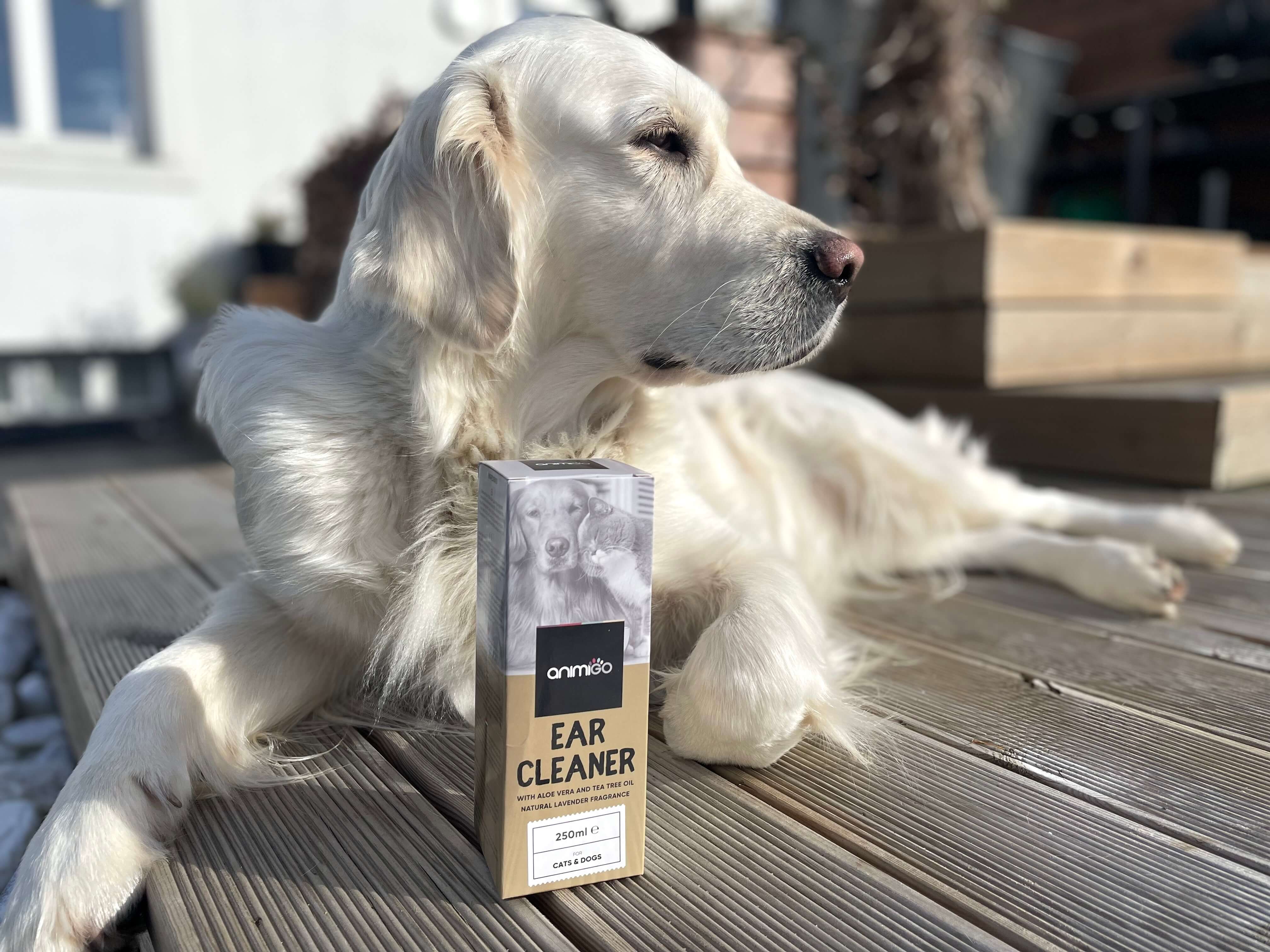 Animigo ear cleaner foran hund på terrasse