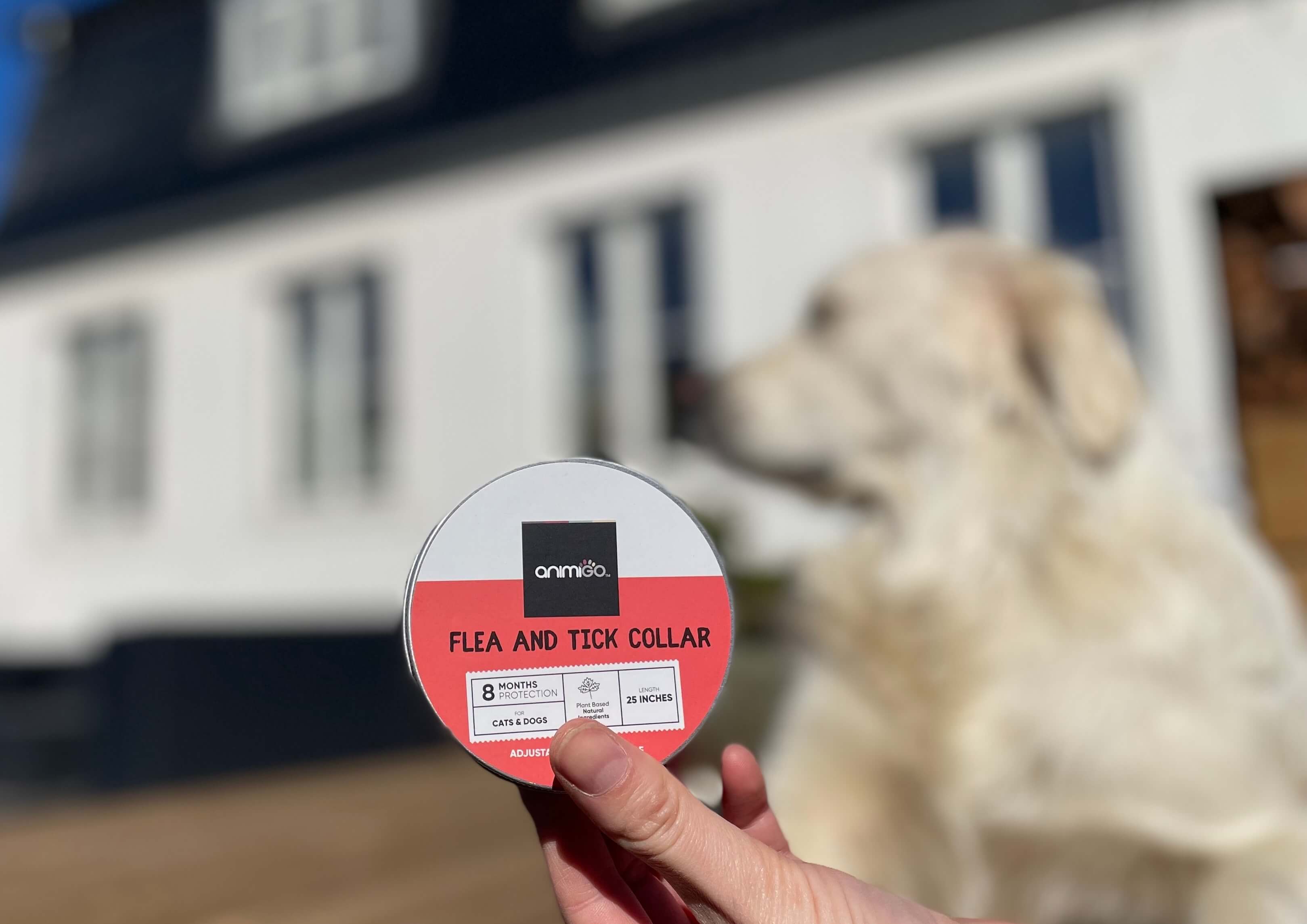 Animigo flåt & Loppehalsbånd i hånd med hund i baggrund