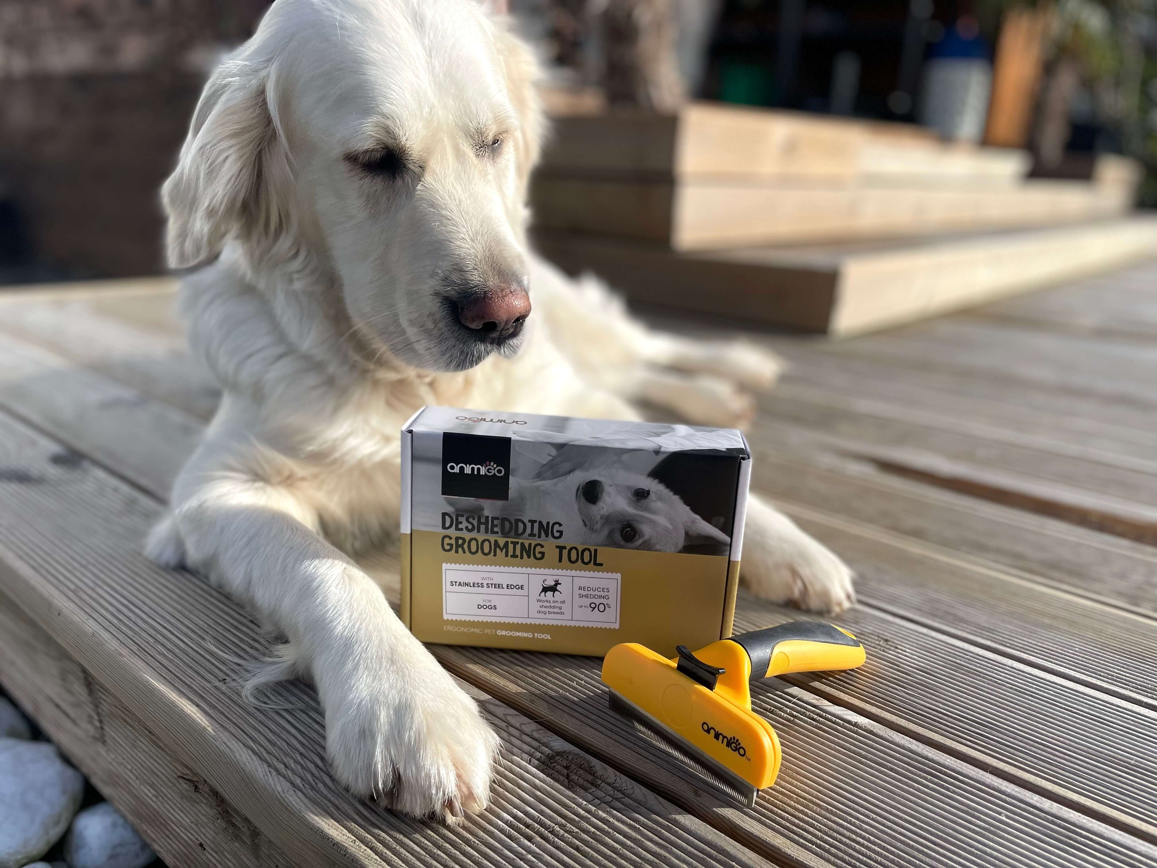  Animigo hundebørste foran hund