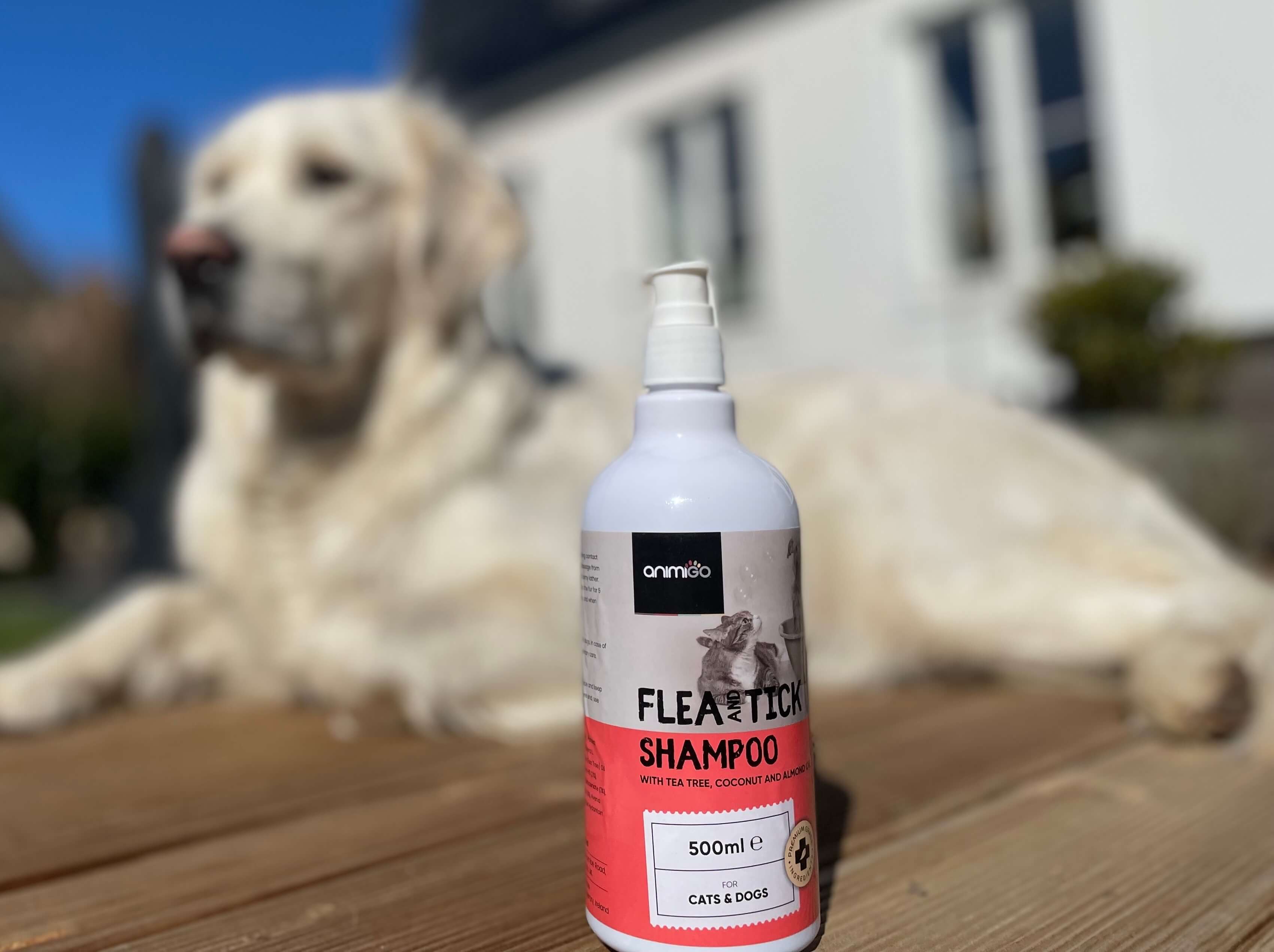 Animigo loppe- og flåt shampoo foran hund på terrasse