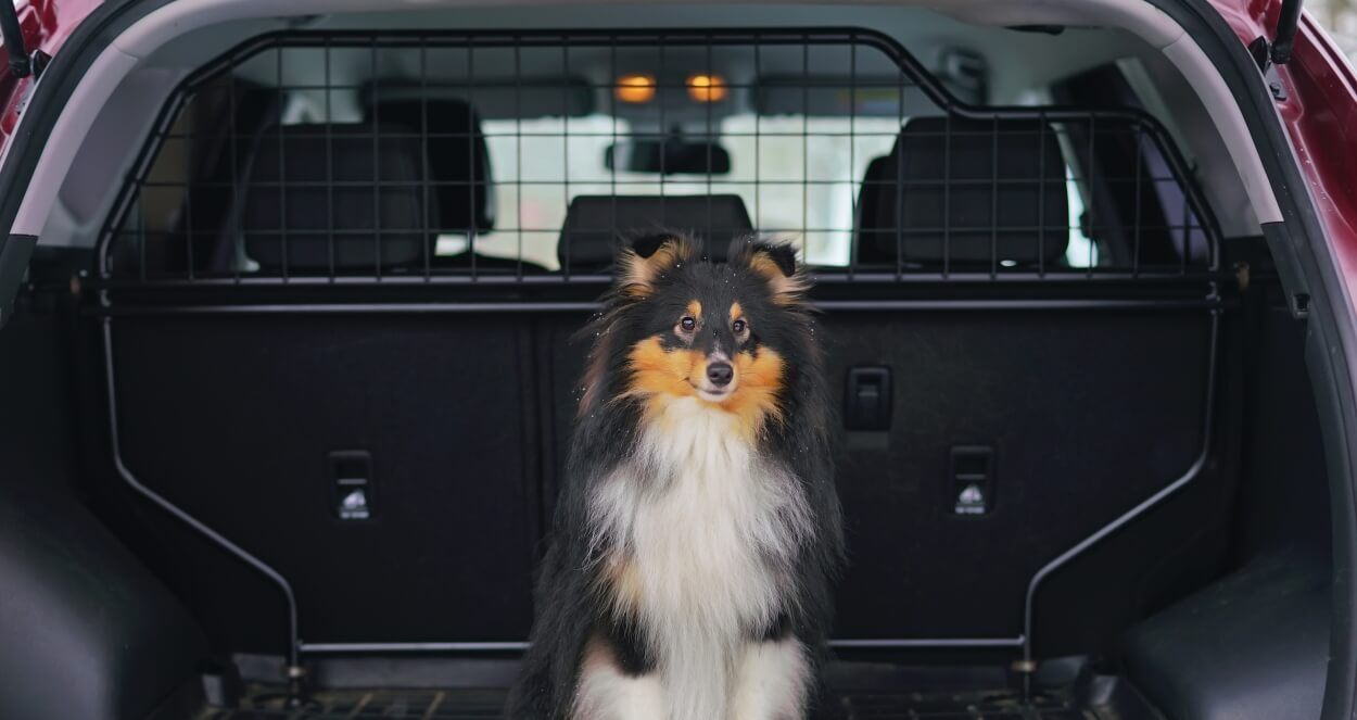 Bil med hundegitter afskærmer hund fra kabine