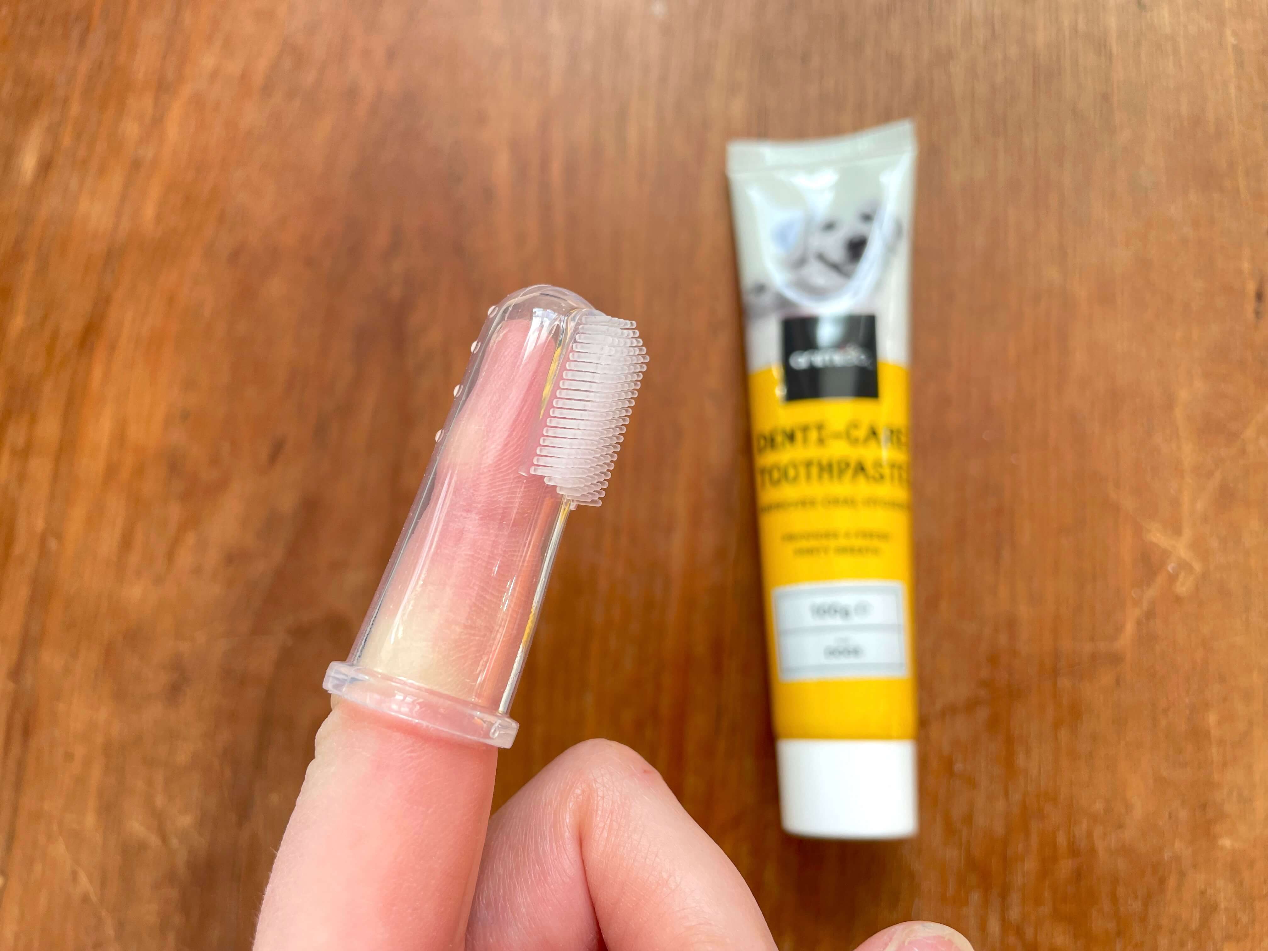 Finger med fingertandbørste til hund