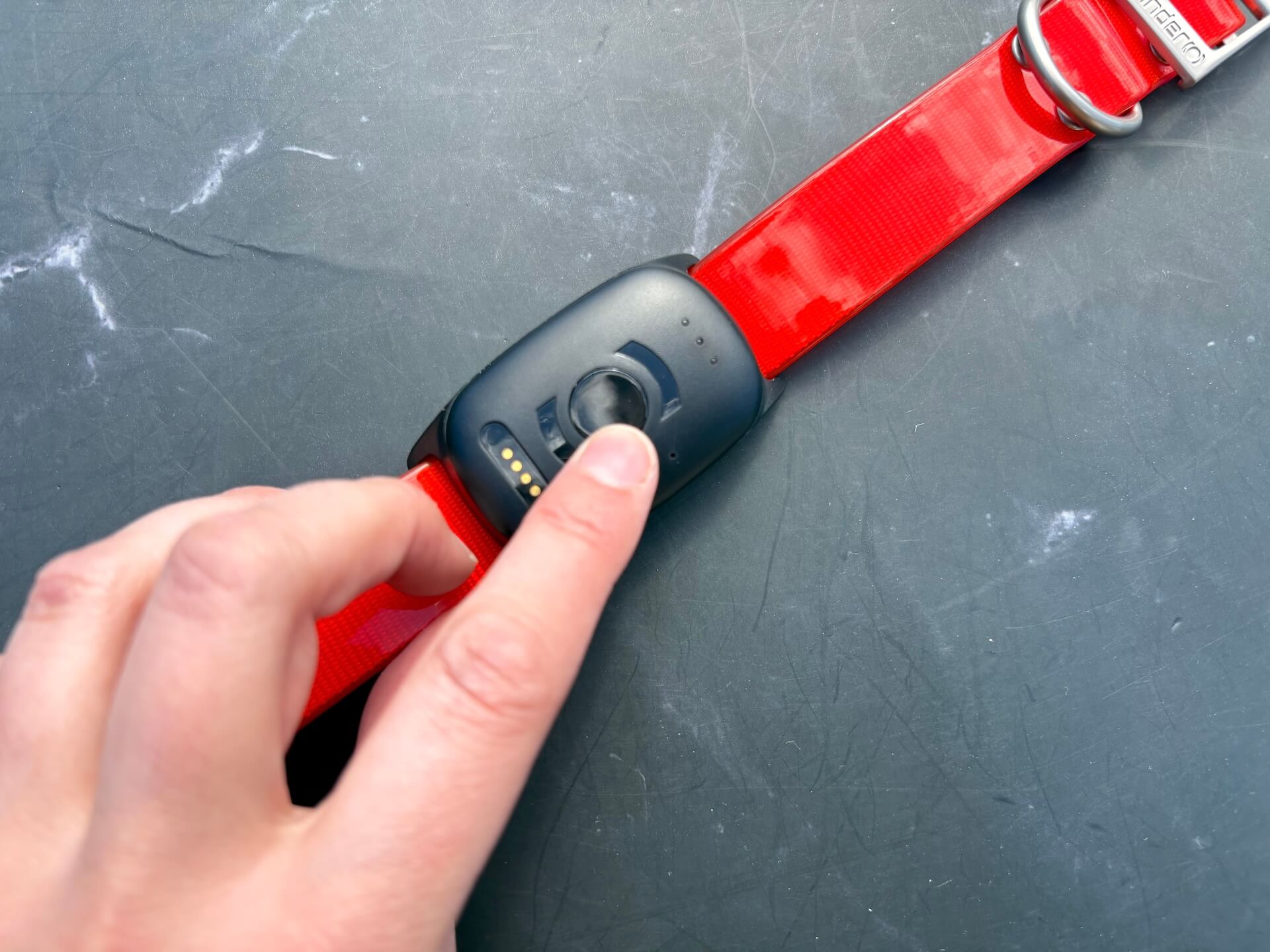Finger på MiniFinder Atto Pro GPS til hund