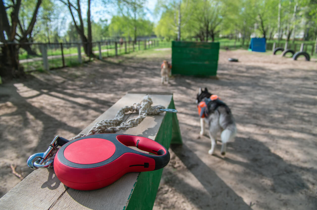 Flexline med behageligt håndtag på bænk i park
