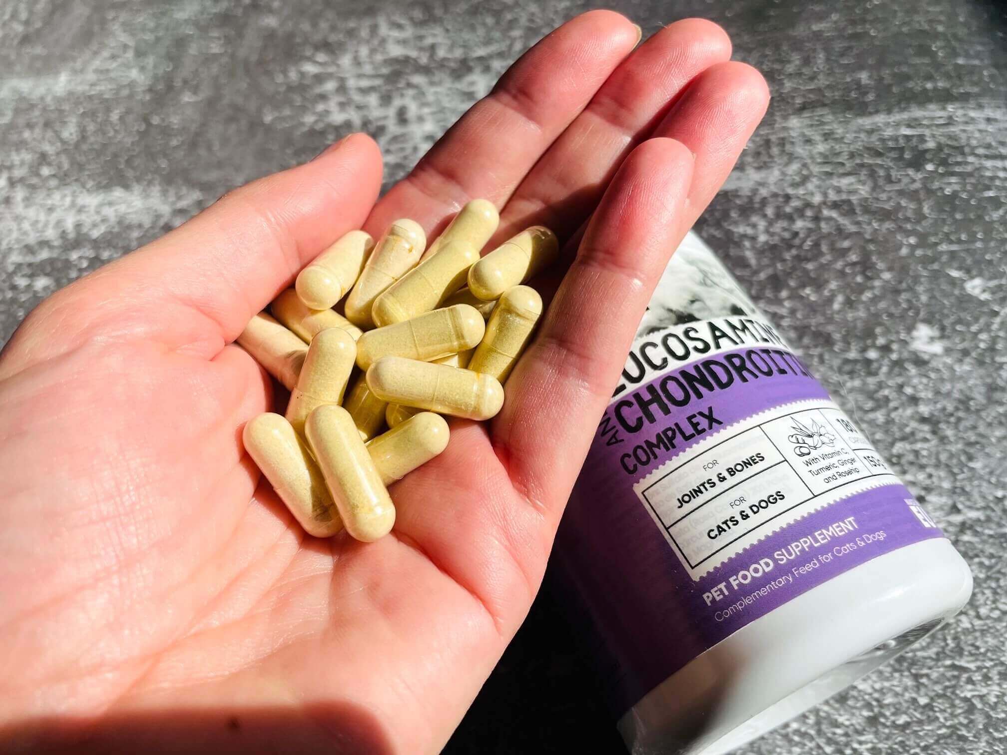 Glucosamin kapsler til hunde holdes af kvinde i hånd