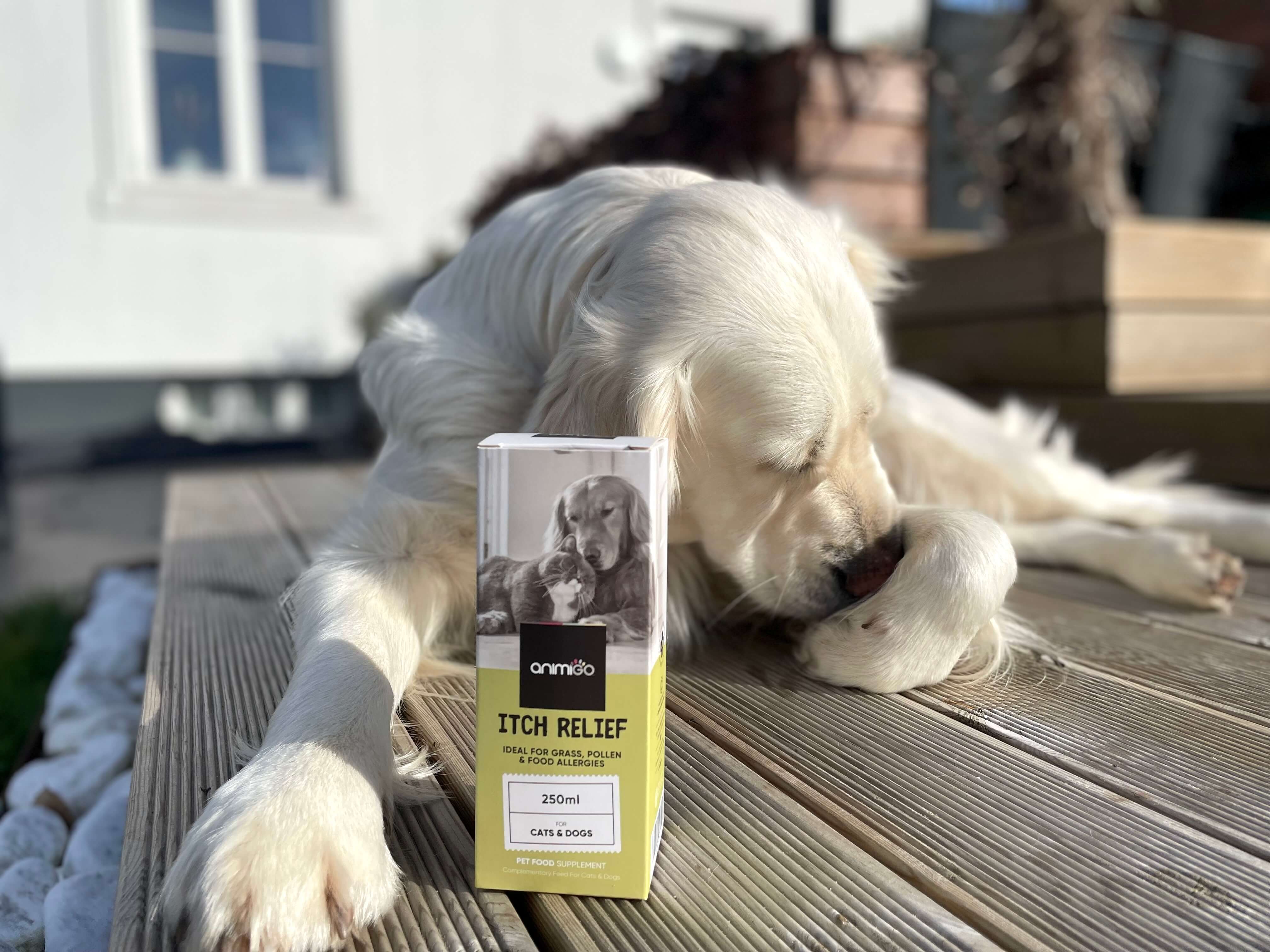 Hun foran Itch Relief fra Animigo