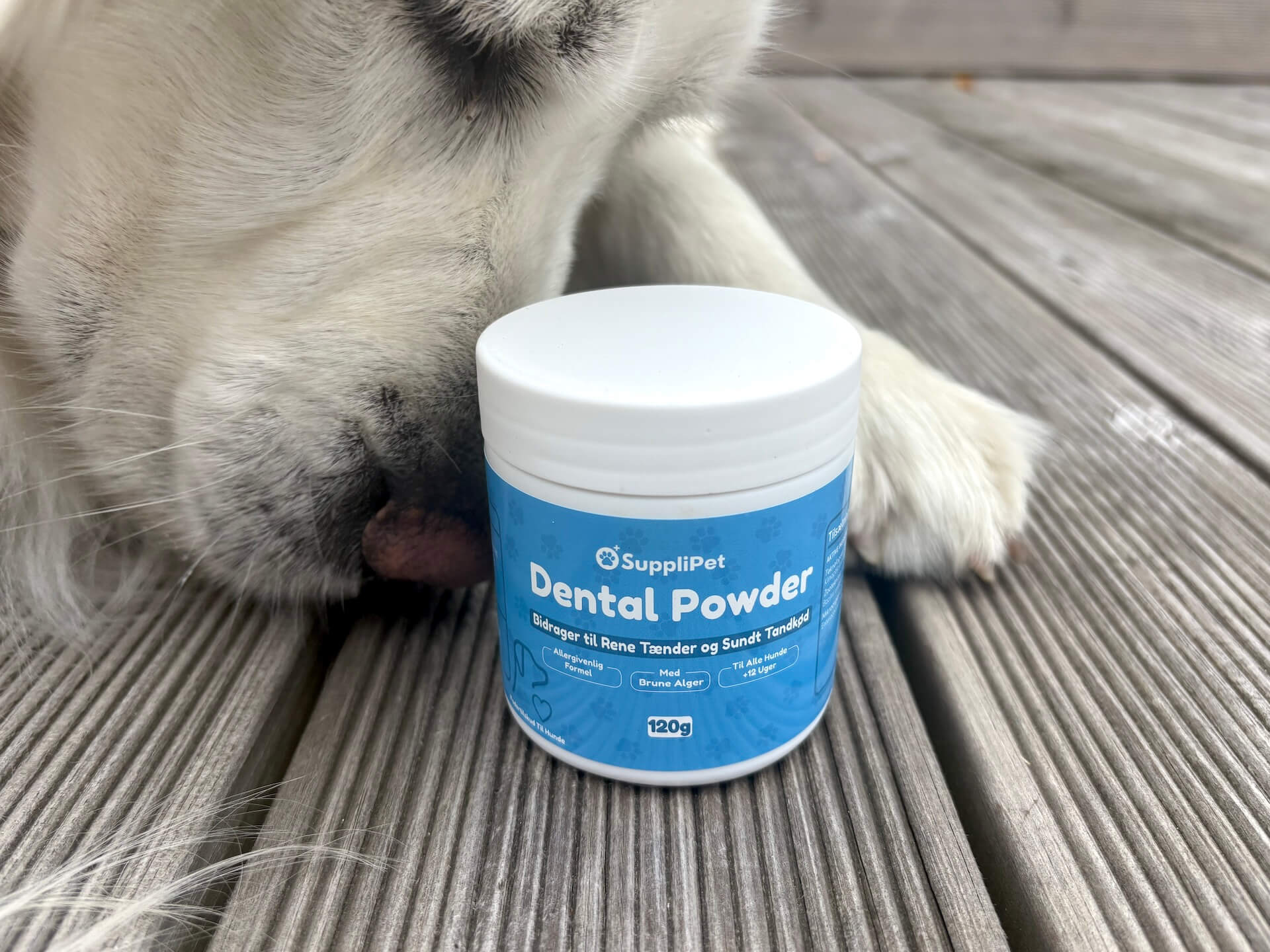 Hund der snuser til SuppliPet Dental Powder