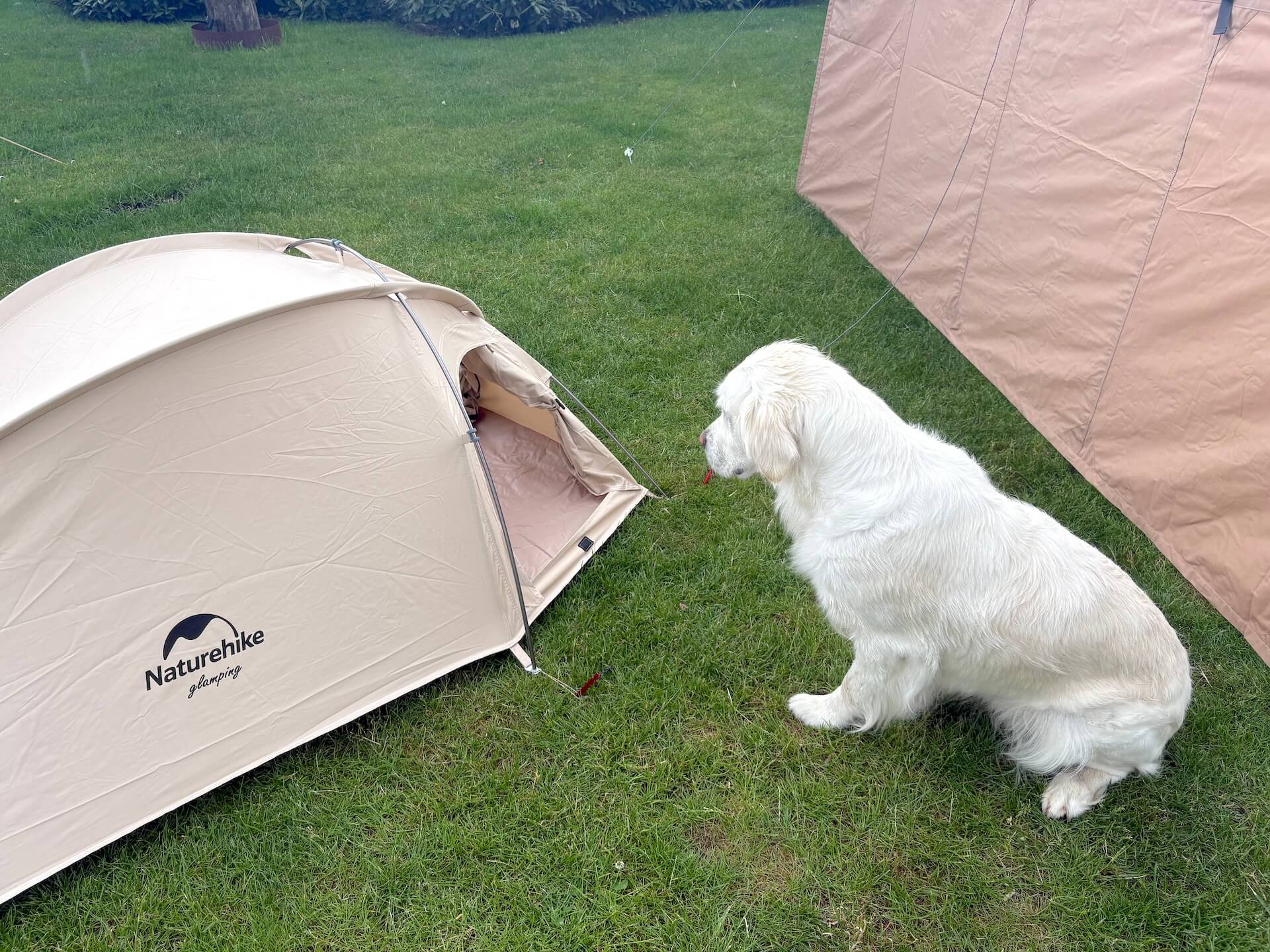 Hund foran Naturehike Hundetelt
