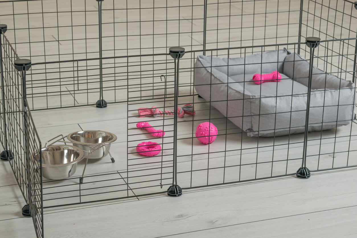 Hvalpegård med legetøj til og hundeseng til hundehvalpe