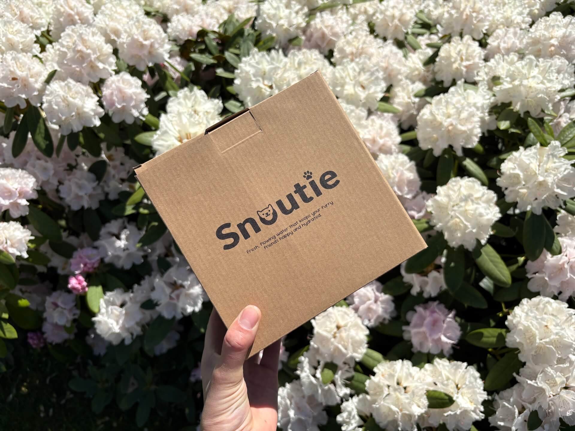 Kasse med Snoutie SnoutiePot