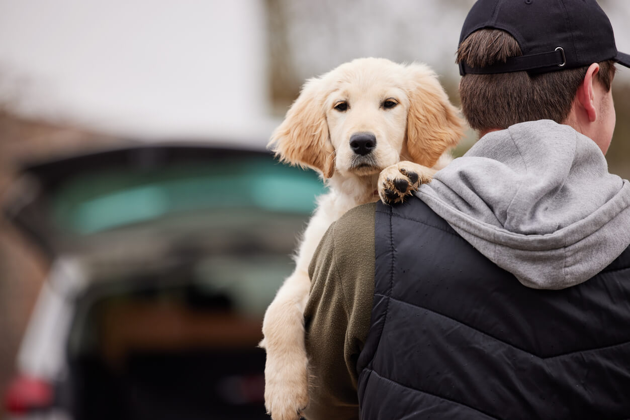 Mand med hundehvalp på vej ind i bil