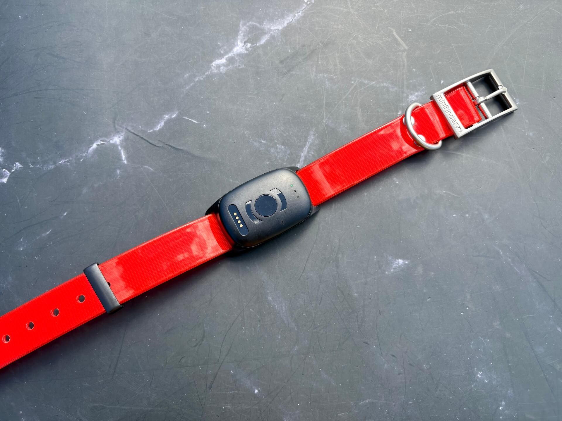 MiniFinder Atto Pro GPS til hund på halsbånd på bord