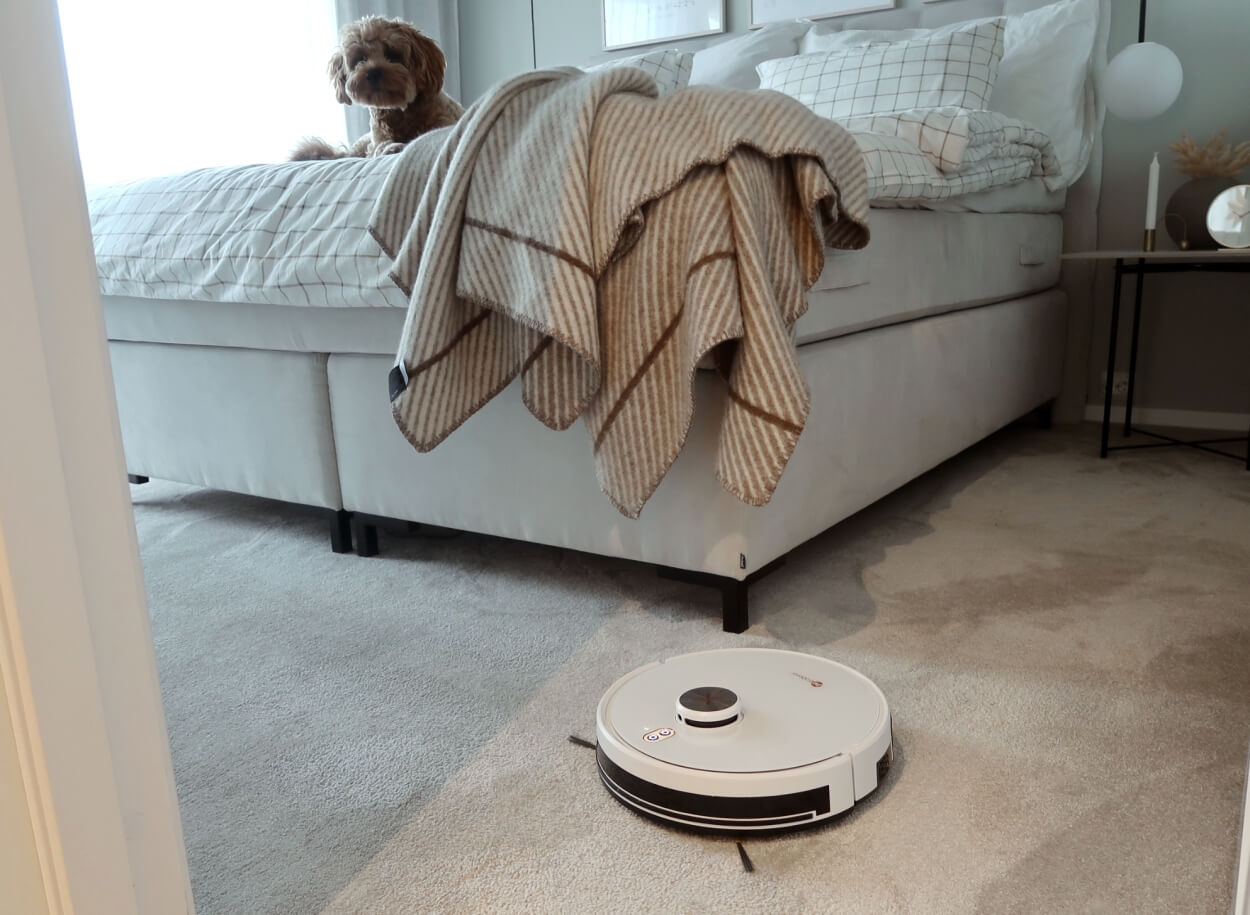 Neatsvor X600 robotstøvsuger støvsuger gulvet mens hund kigger på
