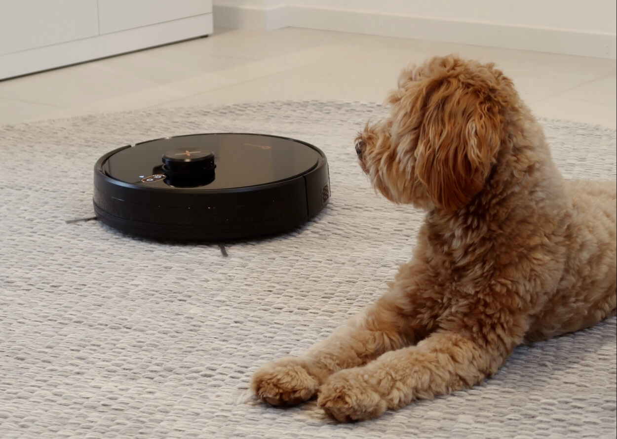 Neatsvor X650 robotstøvsuger på gulvtæppe med hund
