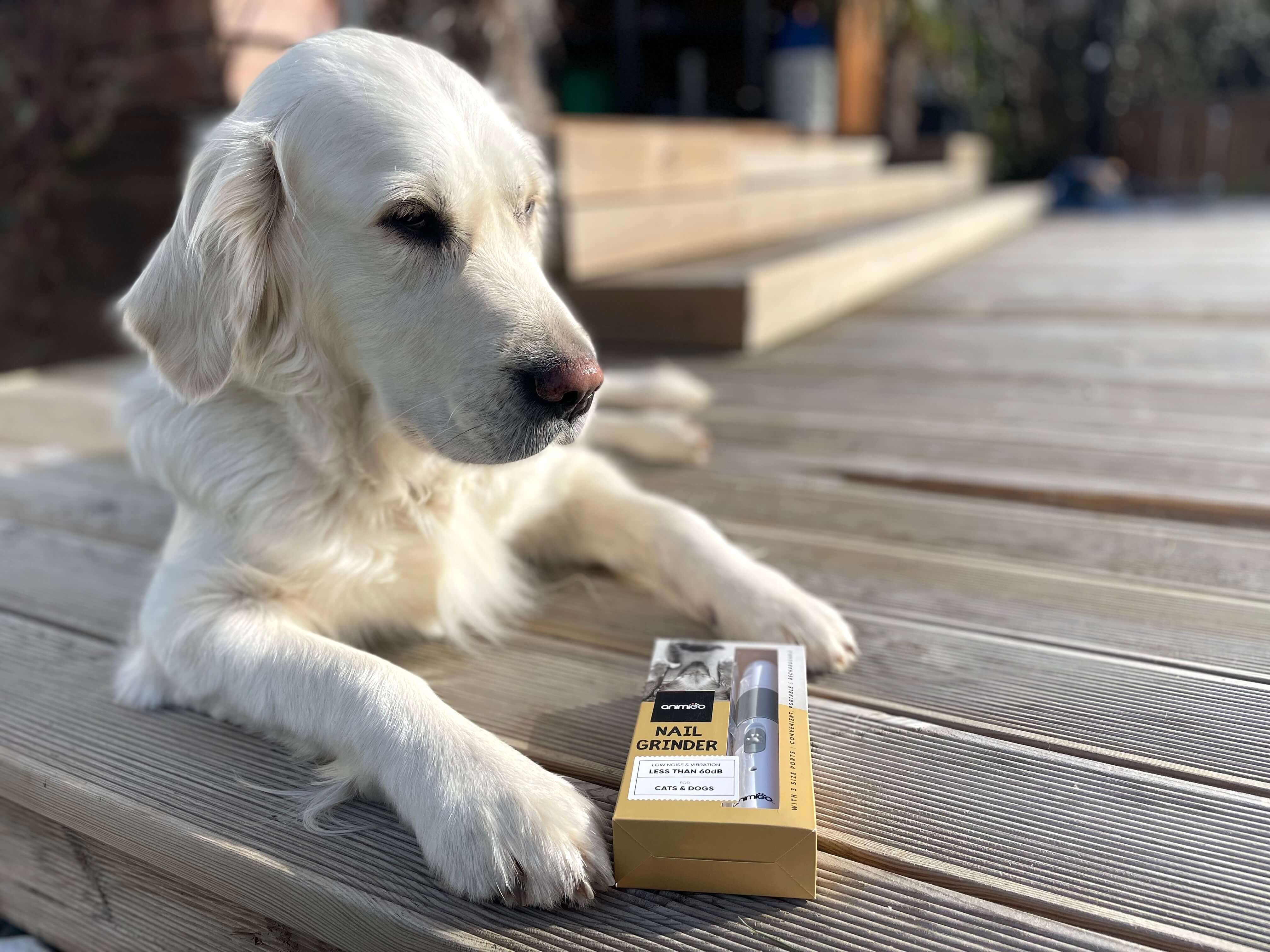 Negleklipper fra Animigo ved siden af hund på terrasse