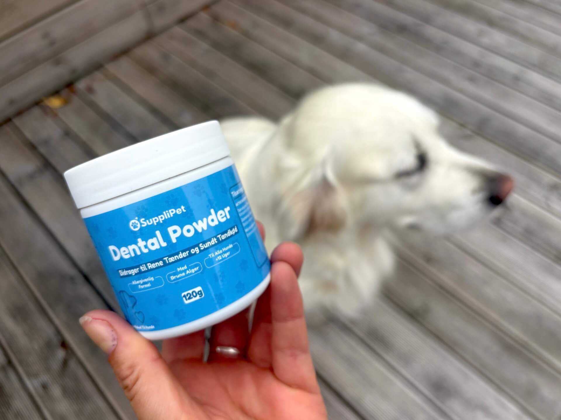 SuppliPet Dental Powder foran golden retriever