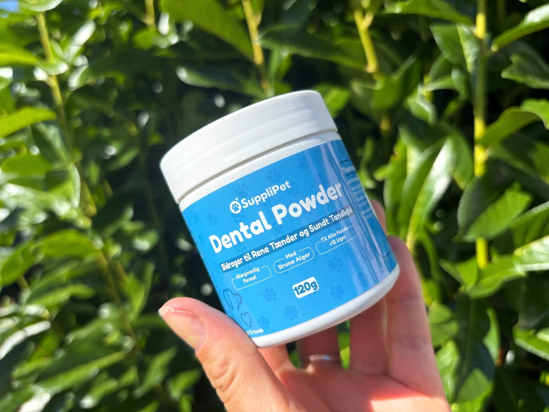 SuppliPet Dental Powder i hånd