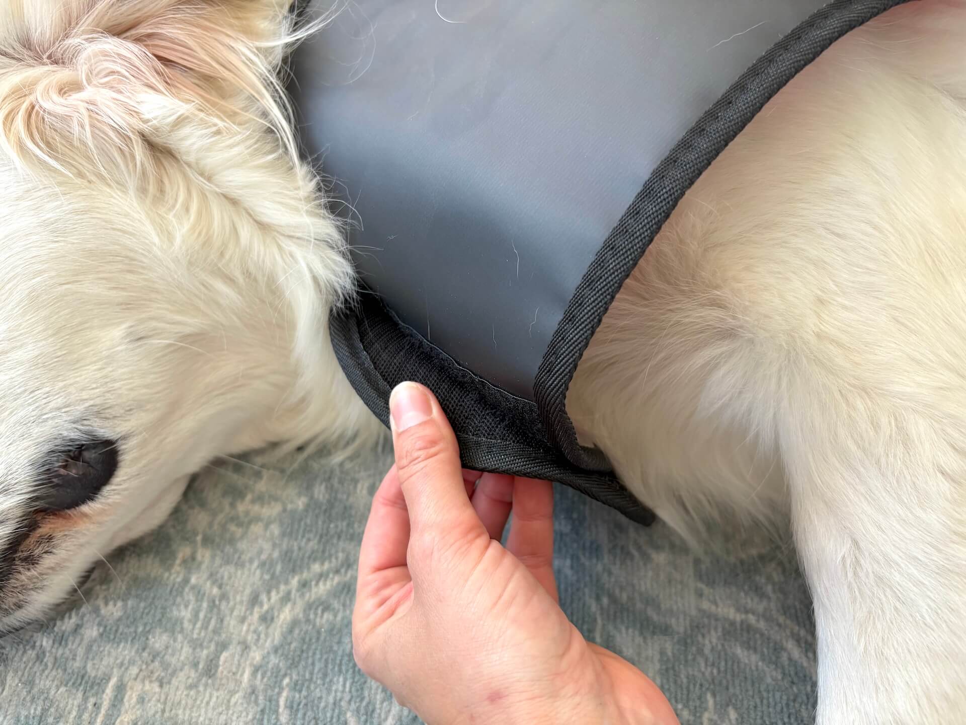 Velcro foran på Heat Sense Rød lysterapi tæppe til hunde