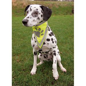 Black Friday-tilbud på Trixie Bandana sikkerhedshalstørklæde til hunde