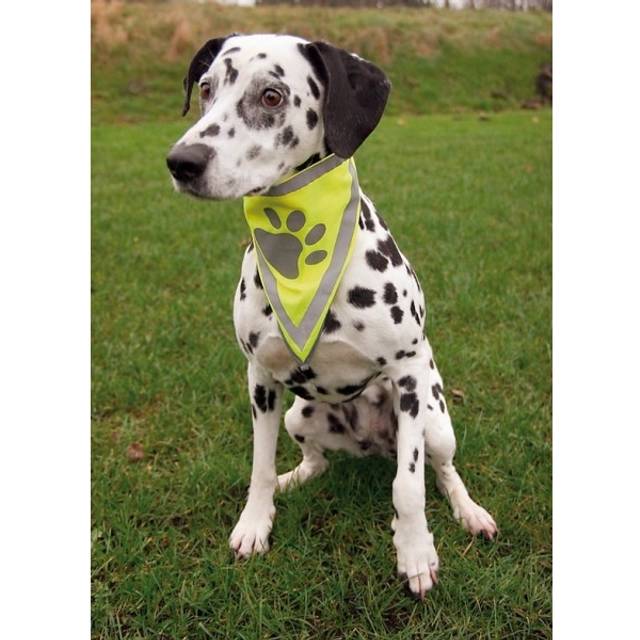 Trixie Bandana 